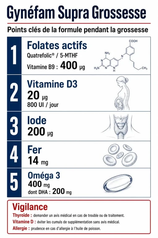 Infographie Gynéfam Supra Grossesse avec composition, dosages et précautions pendant la grossesse