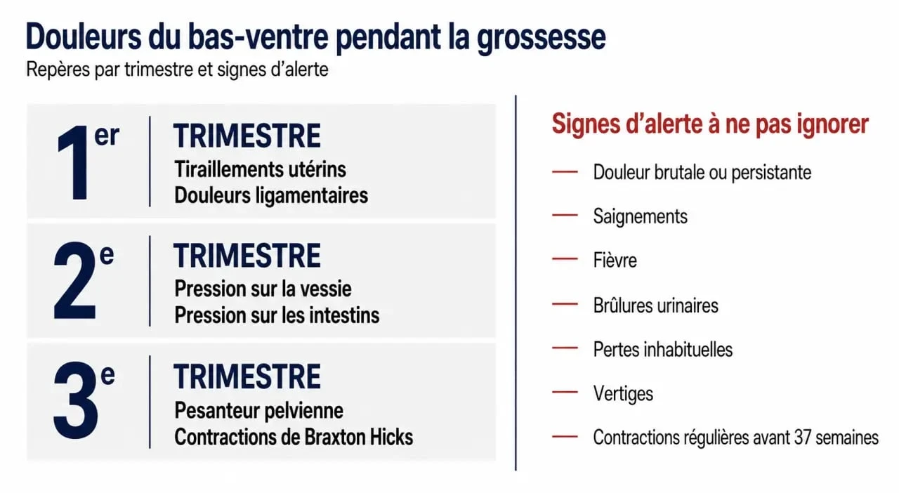 Grossesse et douleur bas ventre : causes fréquentes selon le trimestre et signes d’alerte à surveiller